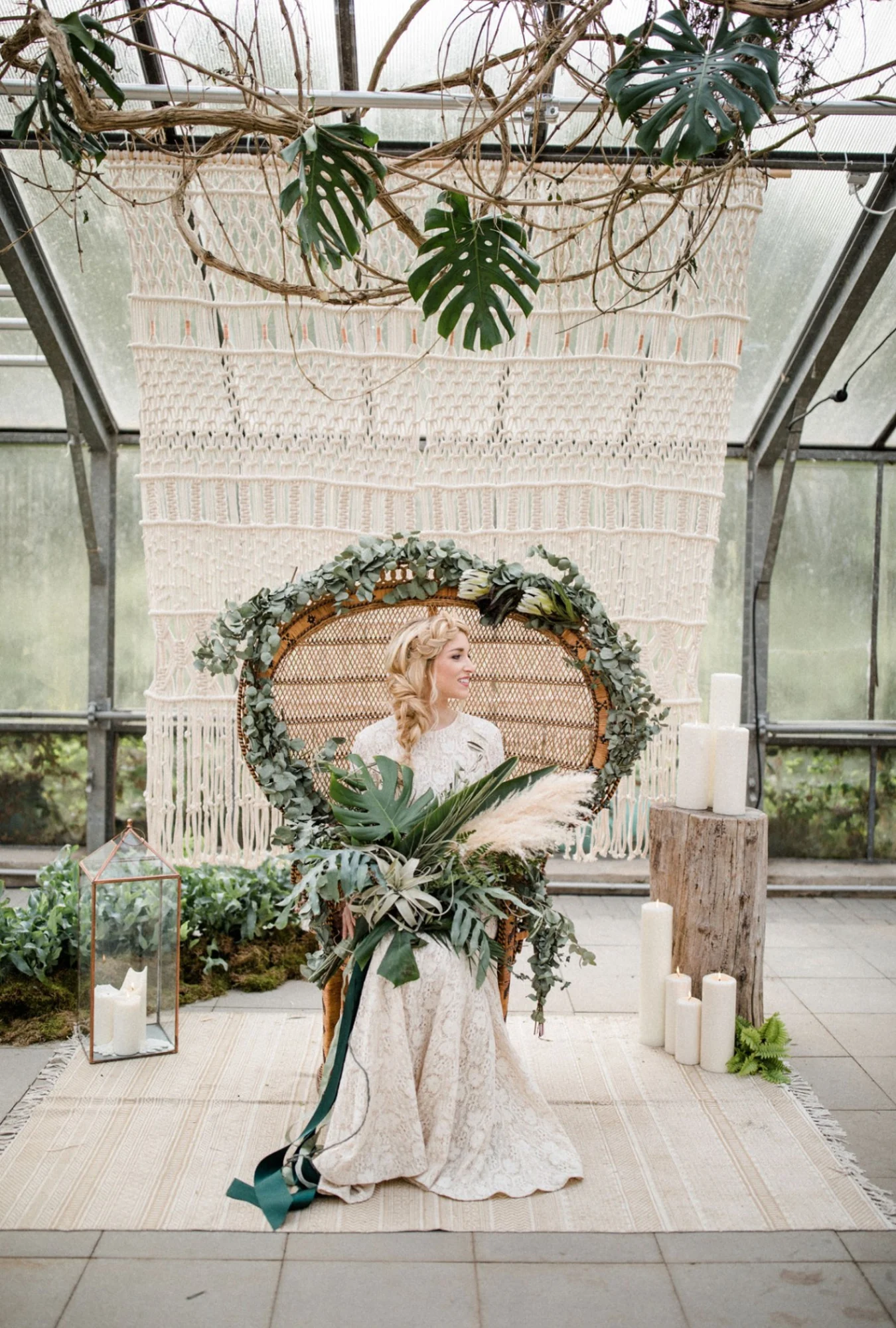 Gewächshaus – Innen in Neckargemünd