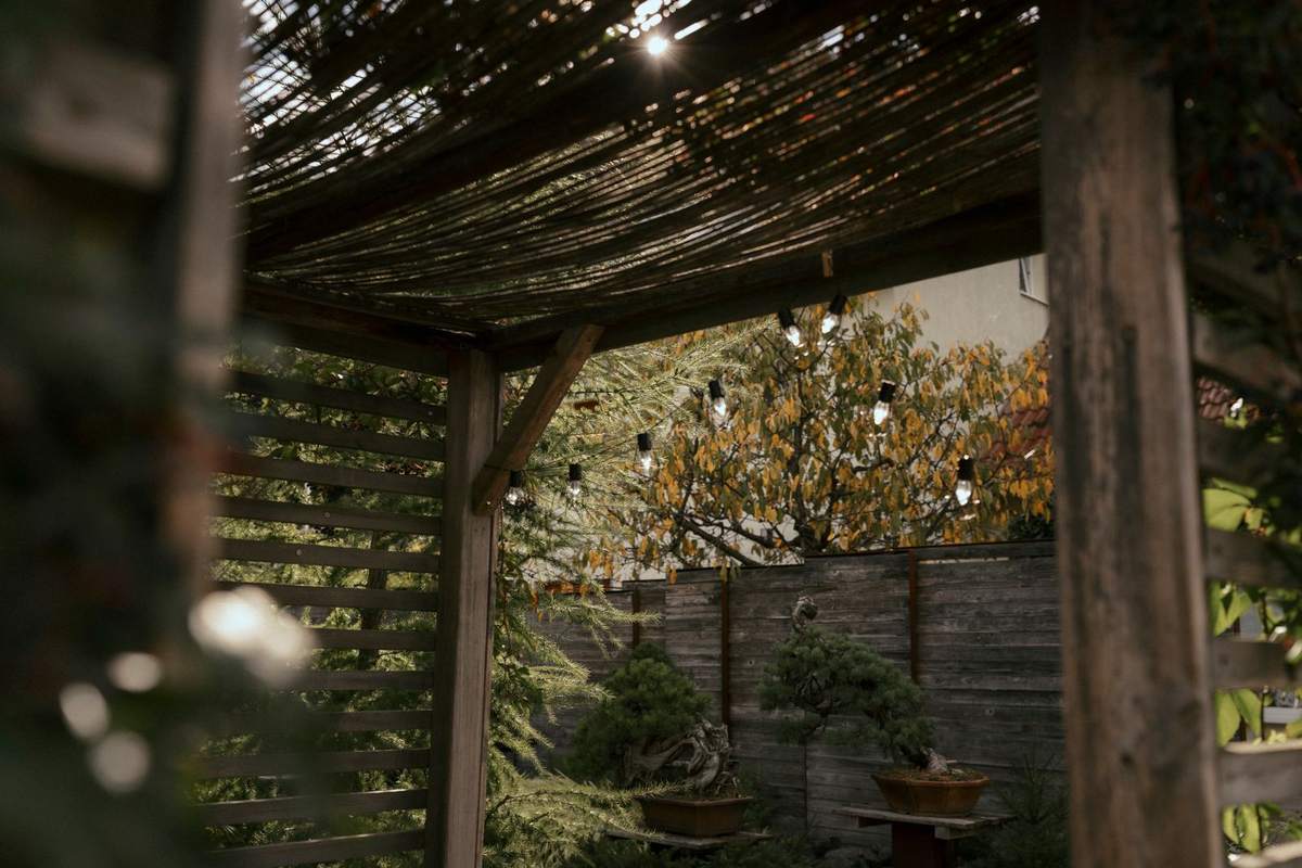 Pergola mit Schilfdach und Lichterkette im Garten, dahinter Bonsai an einer Holzwand