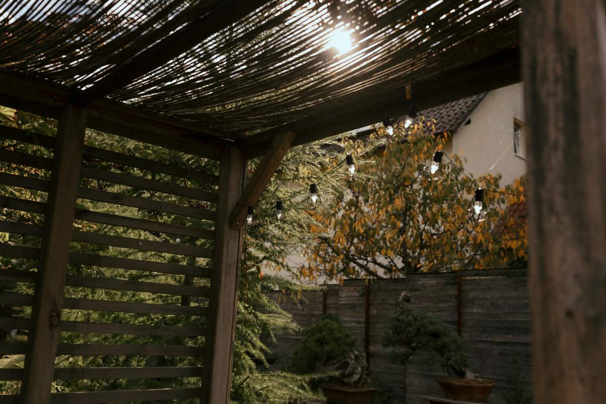 Pergola mit Schilfdach im Garten, dahinter Bonsai an einer Holzwand