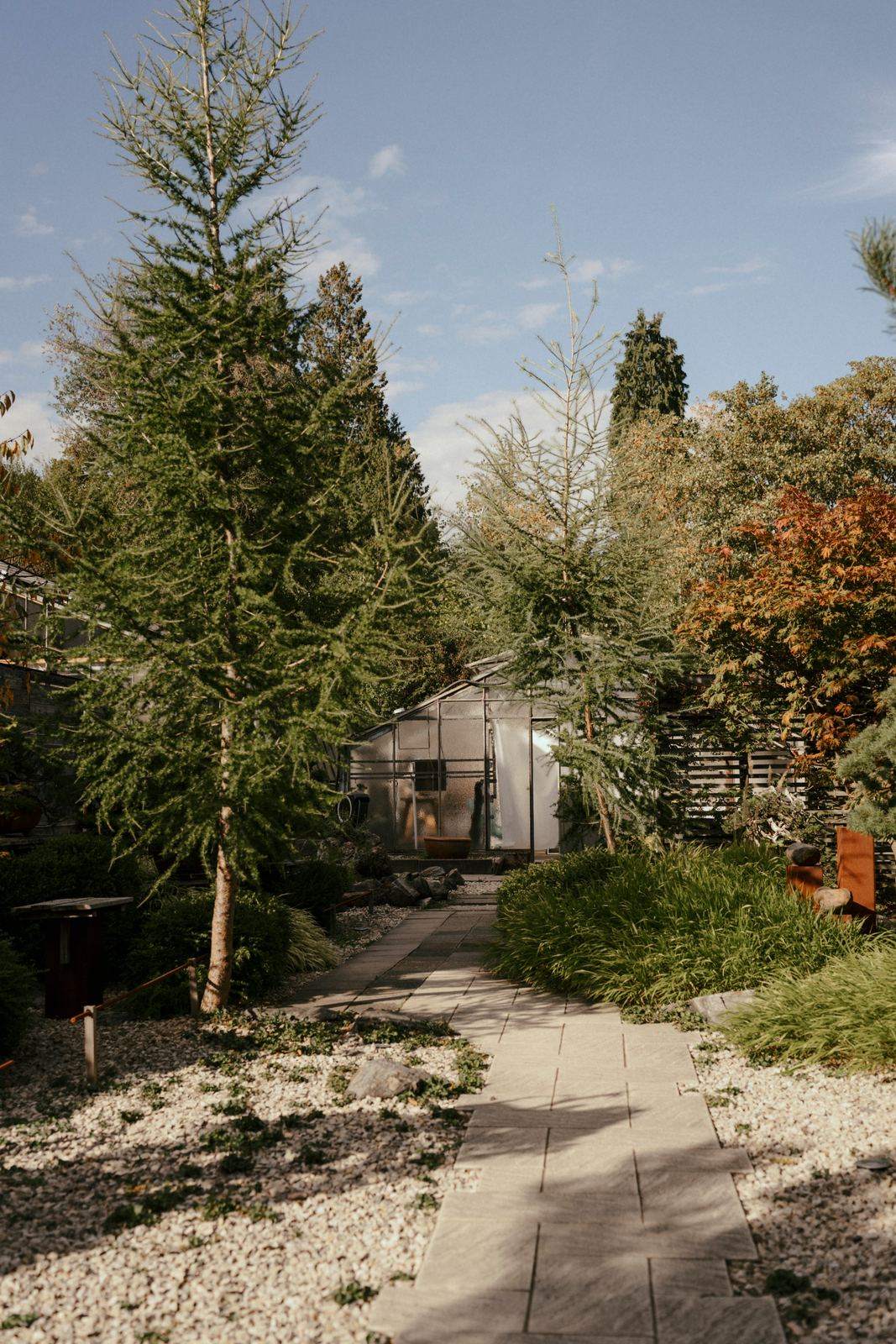 Weg durch den Garten zwischen Nadelbäumen und Kies, im Hintergrund ein Glashaus